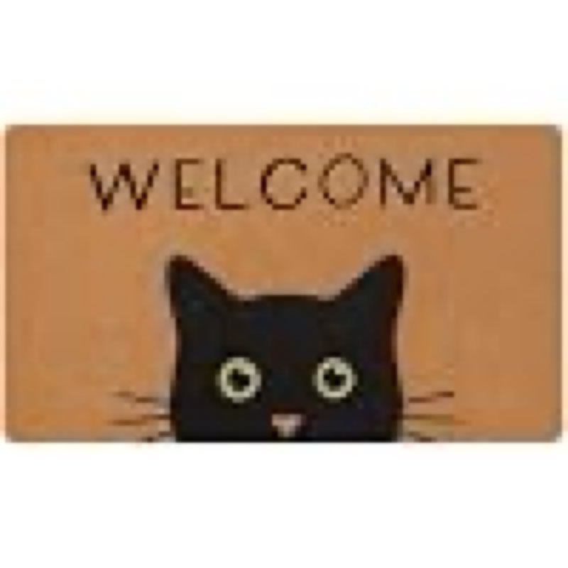 door mat cat welcome mat, black cat with green eyes doormat, non-slip cat welcome mats for front door, outside entrance, resist dirt, 17" x 30"