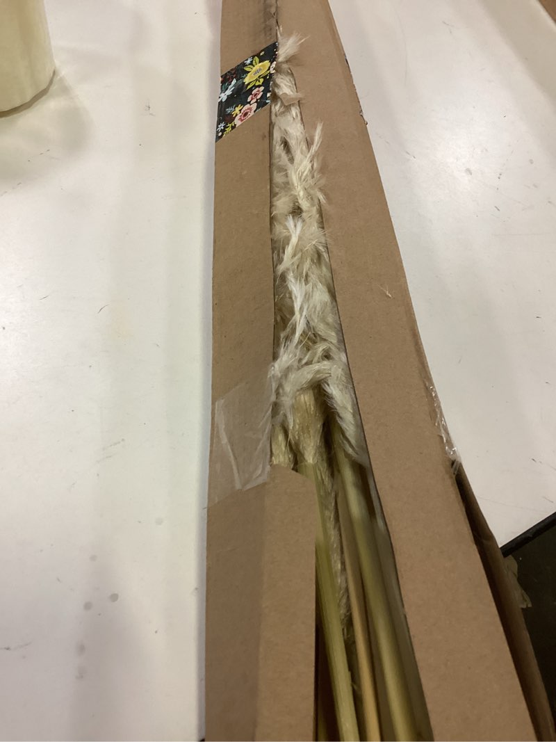 Condition photo showing Good Condition for 40" Tall Pampas Grass – 16 Stems Natural Pompas Grass for Wedding, Party, Farmhouse, and Boho Home Decor