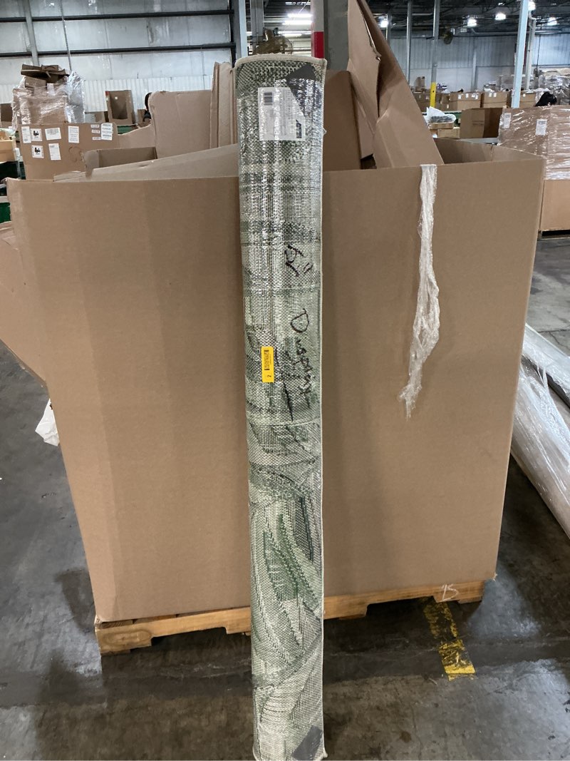 Condition photo showing New/Like New for allen + roth with stainmaster palm leaf 5 x 7 (ft) loomed polypropylene green rectangular outdoor tropical area rug