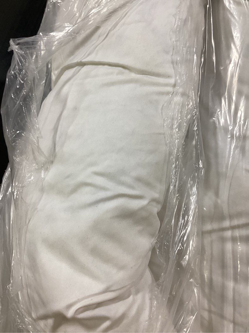 Condition photo showing As Is for premium feather pillow insert 12x48, no color