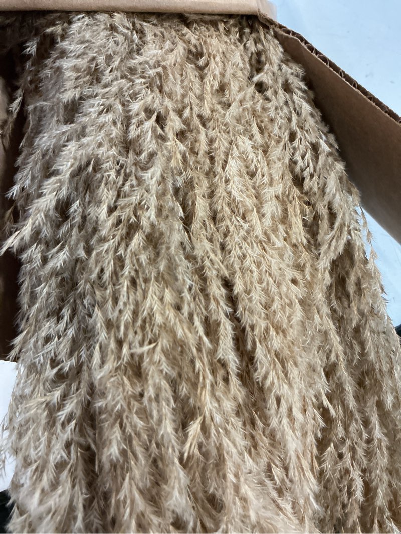 Condition photo showing Good Condition for 9 stems pampas grass decor tall 48''/4 ft, long fluffy dried pompas grass, large pampas grass for floor vase, rustic wedding, baby shower, party, farmhouse, boho home decor 9pcs/48inch