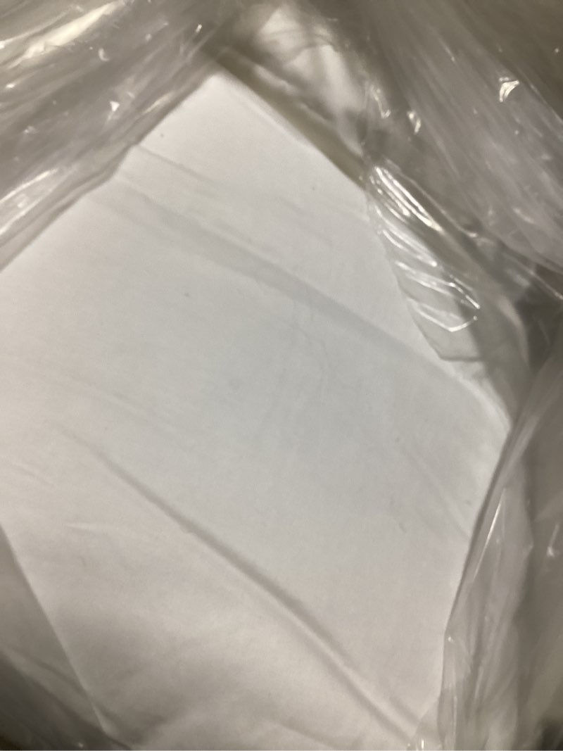 Condition photo showing Good Condition for luxe goose down pillow, king, medium/firm