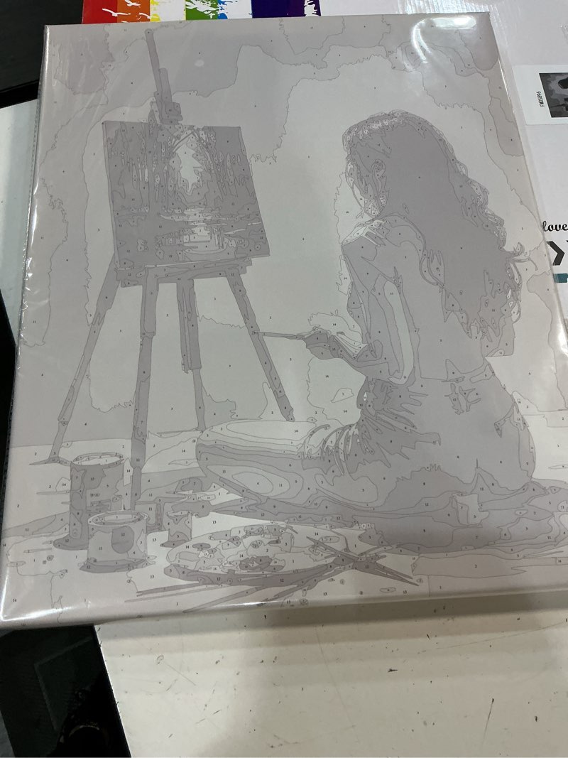 Condition photo showing New/Like New for diy 50*cm40*cm paiting 