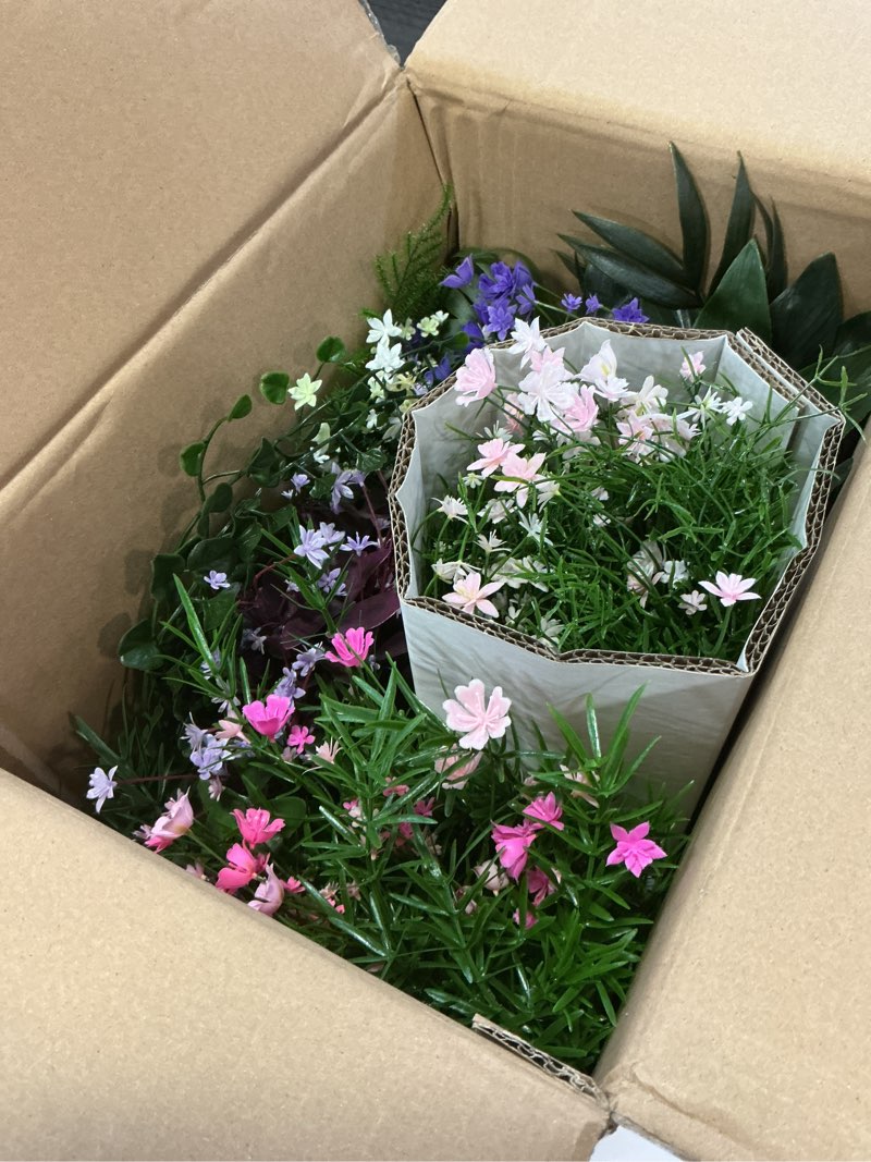 Condition photo showing Good Condition for 6 in 1 Artificial Plants & Flowers, Potted Fake Asparagus Oxalis BabyBreath Grass Plant for Home Decor Indoor Outdoor, Office Greenery Tabletop Centerpieces Multiple Colour