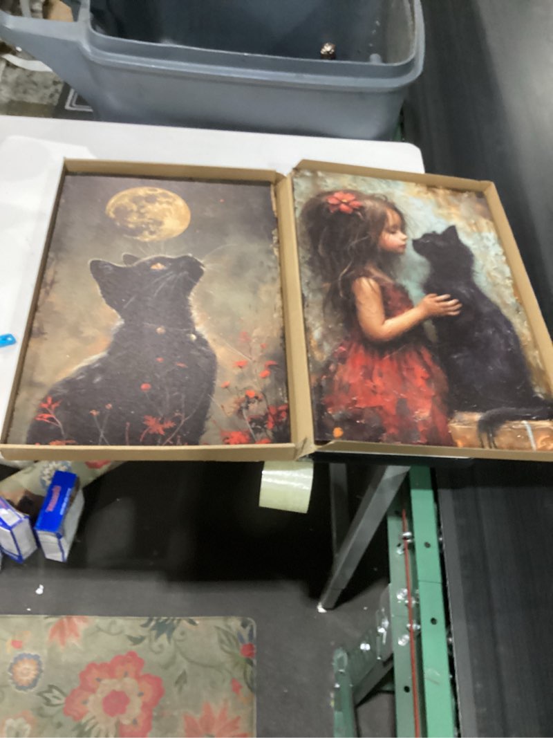 Condition photo showing Good Condition for 2Pcs Black Cats Preppy Canvas Wall Art Whimsical Gothic Cat Wall Decor Vintage Fun Cool Girls Mysterious Animal Posters Prints Cat Lovers Pictures Paintings Bedroom Living Room Dorm Decor 16x24 Inch Black 16x24 Inch Framed