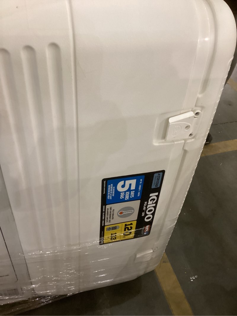 igloo cooler