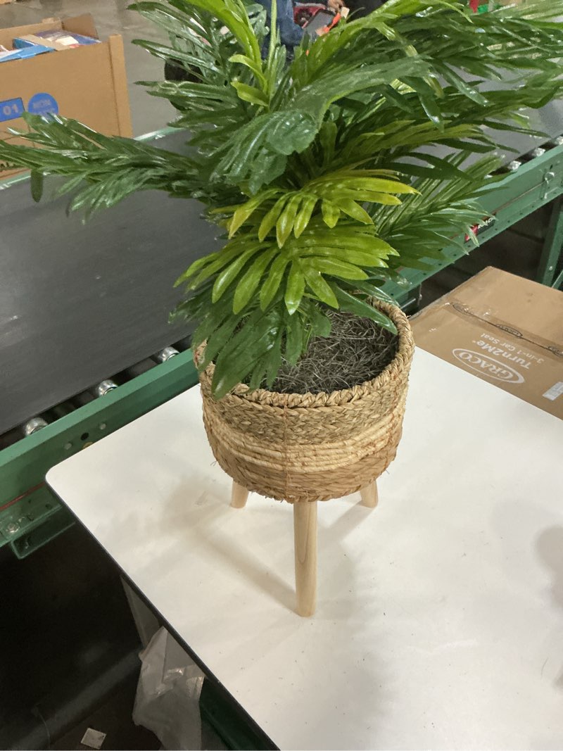 Condition photo showing Good Condition for lcg 32-in green indoor floor palm artificial plant