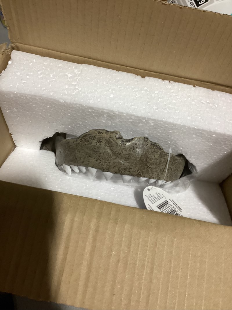 Condition photo showing New/Like New for Penn-Plax Deco-Replicas Shark Jaw Aquarium Resin Decoration - Freshwater and Saltwater Safe