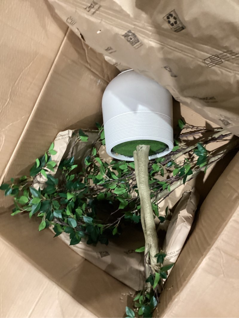 Condition photo showing Good Condition for 6ft Minimalist Artificial Citrus Tree with Large Exquisite Planter, 72in Faux Citrus Tree with Realistic Leaves, Faux Tree Indoor Outdoor for Home Office Living Room Bedroom Porch Decor. Decorative Planter 6ft