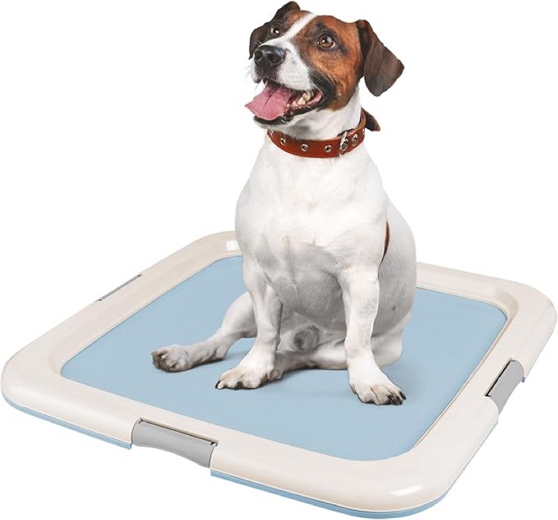 IRIS USA Bandeja Grande para Almohadillas de Entrenamiento para Cachorros, 55.9 cm x 58.4 cm Soporte de Almohadillas para Perros y Mascotas de Mayor Tamaño, para Entrenamiento e Incontinencia, Azul