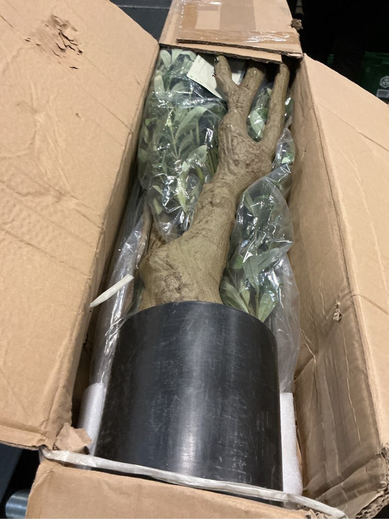 Condition photo showing New/Like New for Faux Olive Tree 7ft - Olive Trees Artificial Indoor with Large Olive Branches and Realistic Fruits - Fake Olive Tree with Sturdy Base - Olive Tree 7 Feet for Modern Home Office House Decor