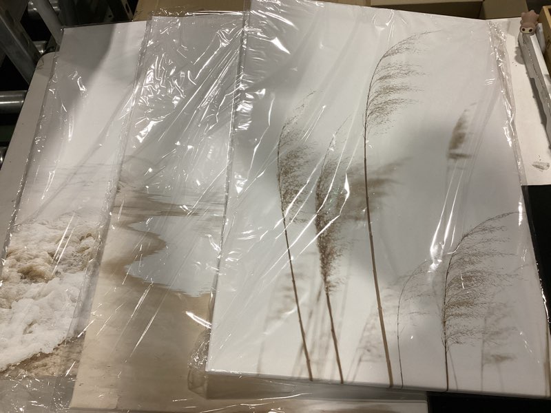 Condition photo showing Good Condition for hdxufjq neutral beach coastal canvas wall art beach boho botanical pampas grass wall decor minimalist nature landscape pictures painting summer ocean prints waves artwork(12"x16") reeds 12x16 inch canvas