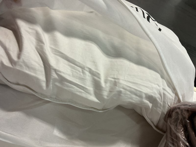 Condition photo showing As Is for premium down pillow, standard, firm