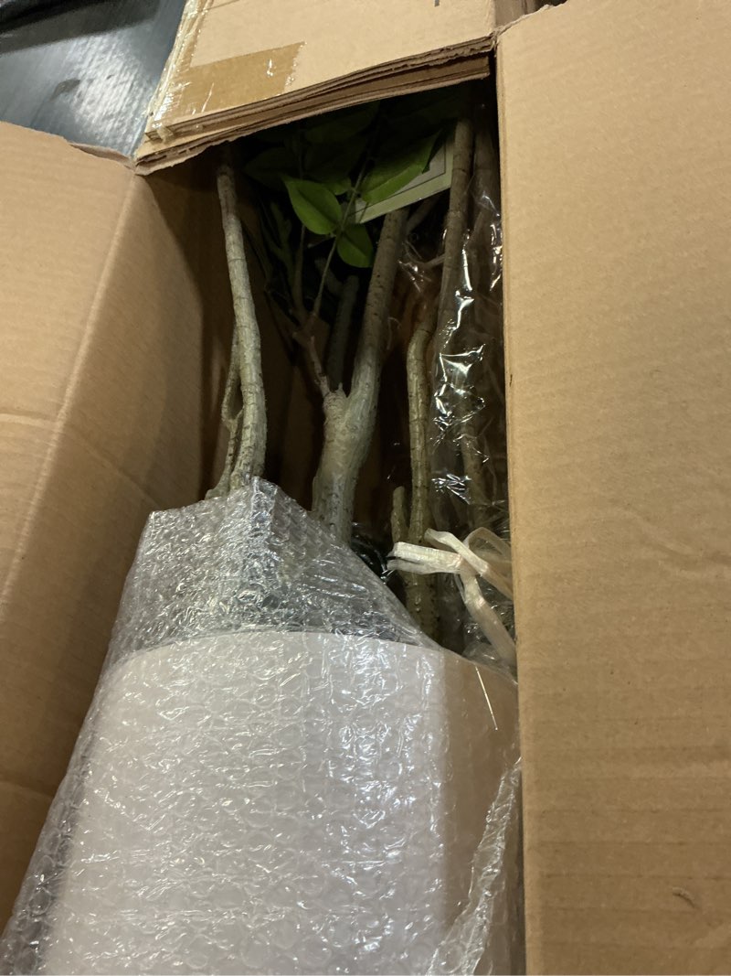 Condition photo showing Good Condition for 6.5ft artificial sumac tree with white pot, tall faux plants indoor, large fake tree with nearly natural silk plant (real touch), for home, office, living room, patio, lobby decor 6ft 6in