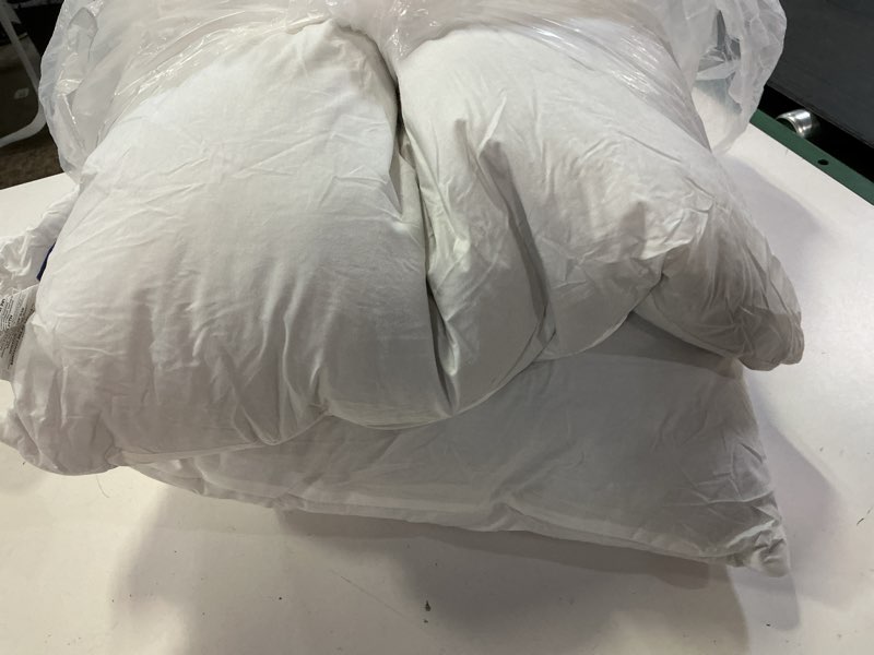 Condition photo showing Good Condition for miulee 22x22 pillow inserts,set of 2 down feather throw pillows for couch sofa bed, decorative fluffy throw pillow inserts cotton fabric,white 2 22x22 inch