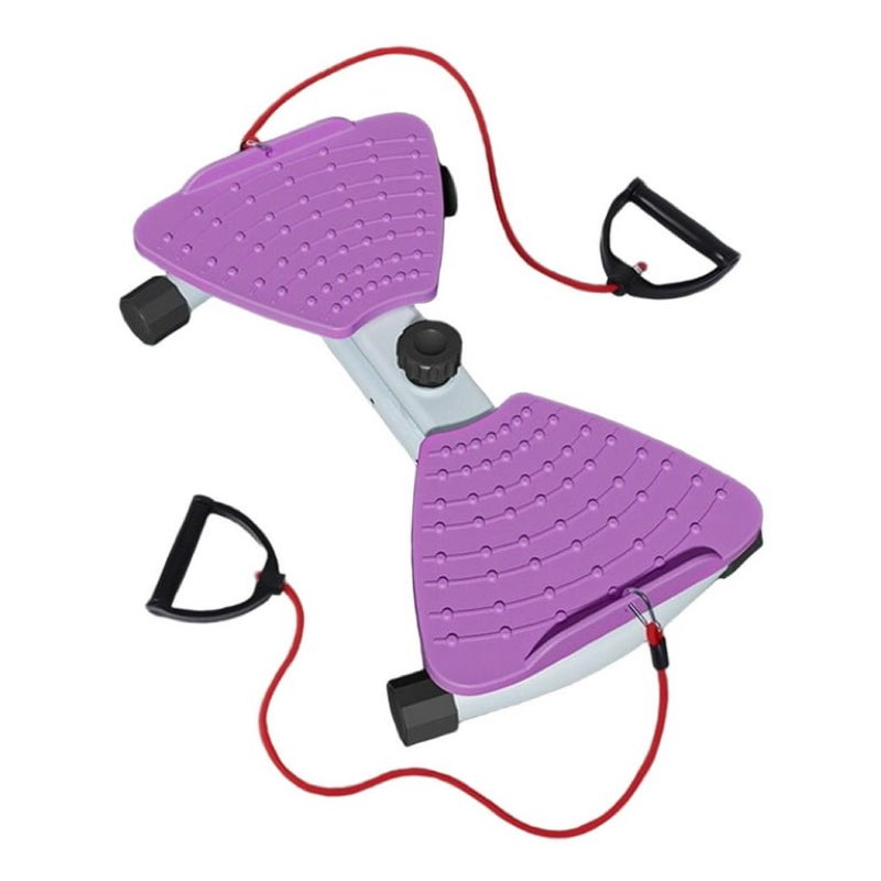 DimyFew Ab Twister Board Home Gym Exercise for Women Waist Twisting Machine for Arms purple