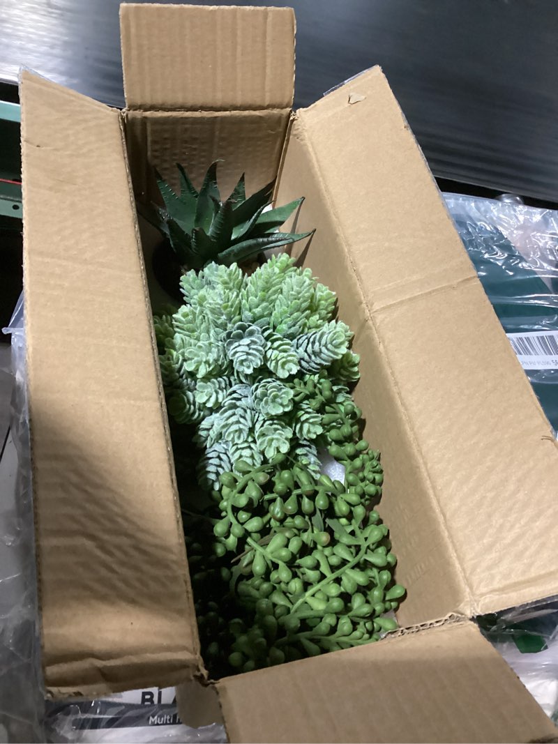 Condition photo showing Good Condition for Winlyn 3-Pack Artificial Potted Succulent Plants - Aloe, Hops, String of Pearls - Realistic Faux Plants in Black Cement Pots - Modern/Contemporary Style - Ideal for Home Office Bathroom Indoor Decor