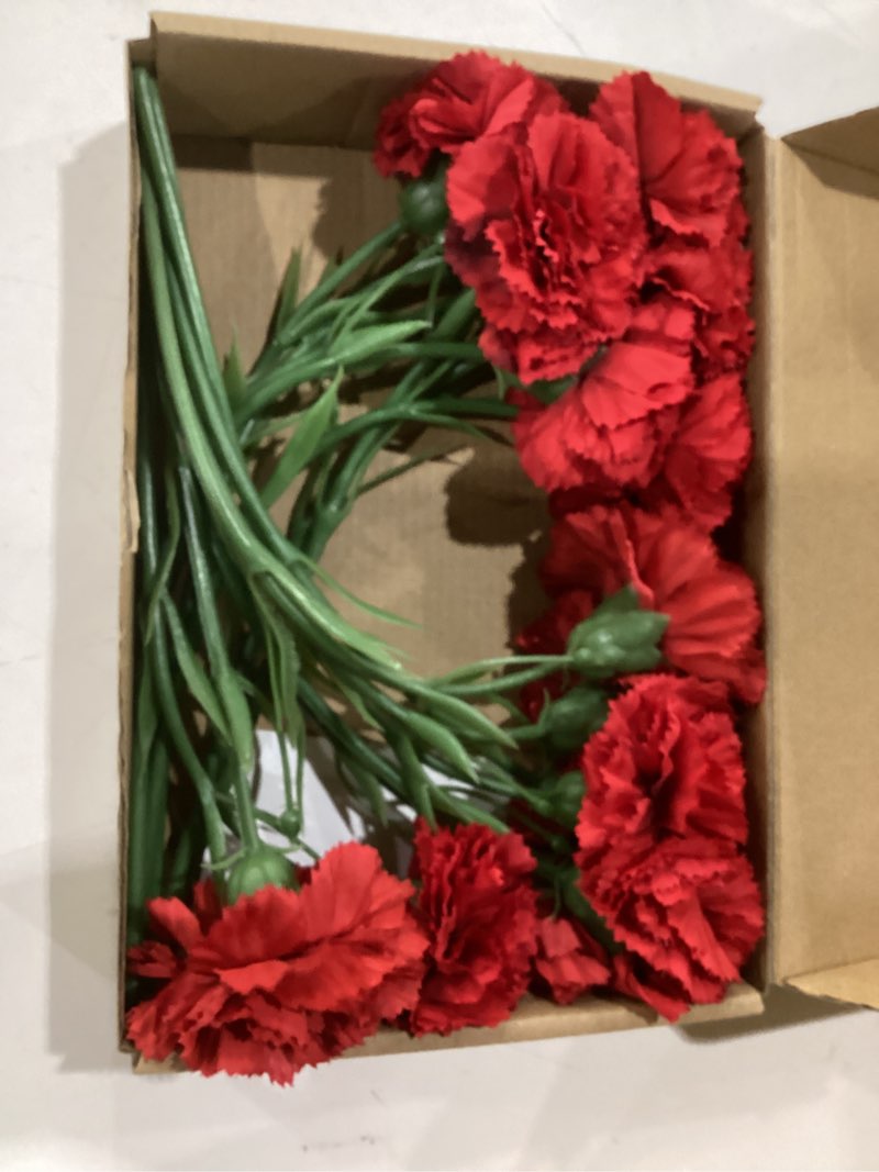 Condition photo showing Good Condition for red carnations artificial flowers 15pcs real touch carnation flowers silk flowers with stems for wedding bouquets for bridal home table centerpieces floral arrangements (red)
