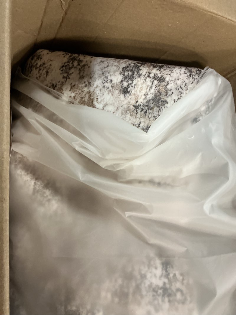 Condition photo showing Good Condition for Nakagishi 8X10 Area Rugs for Living Room: Washable Modern Abstract Rug with Non-Slip Silicone Backin