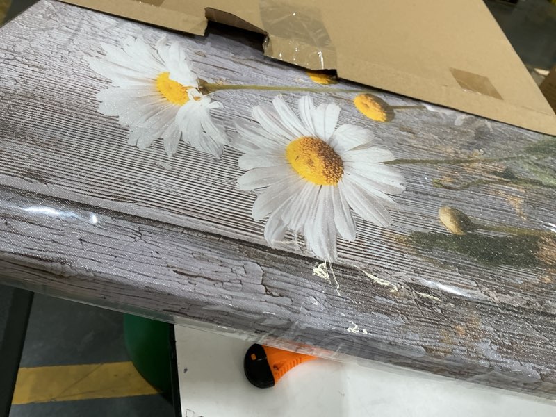 Condition photo showing New/Like New for kzku canvas floral wall art rustic daisy white flowers on weathered wood background- large framed mo