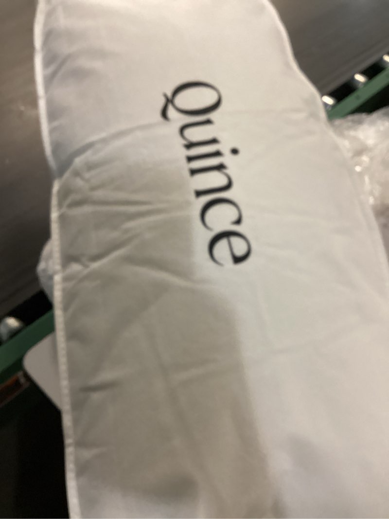 Condition photo showing New/Like New for luxe goose down pillow, king, firm/extra firm