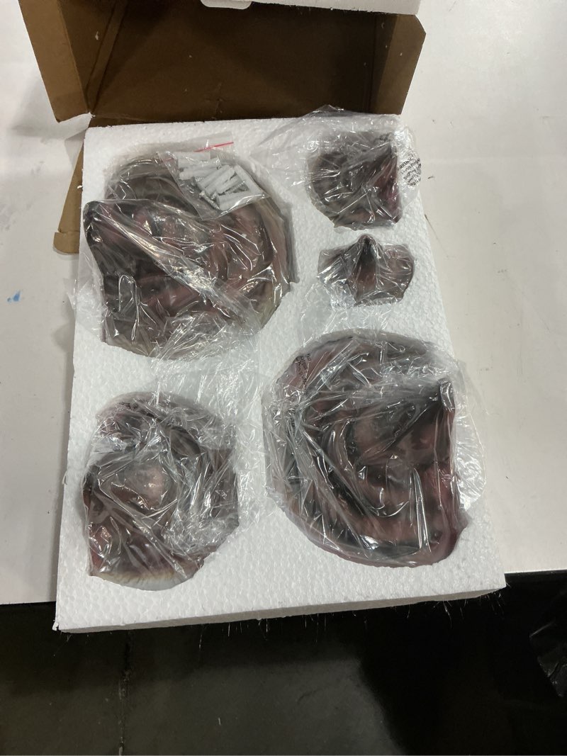 Condition photo showing New/Like New for Wiosi 5-Piece Turkey Tail Reishi Mushroom Floating Shelves for Decorating Wall | Shelves for Room Wall | Perfect Floating Shelves for Room Decor | Leopard Gecko Tank Accessories