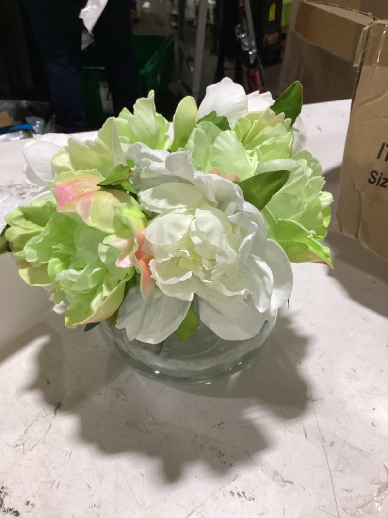 Condition photo showing Good Condition for hollyone white and green peonies artificial flowers with vase faux flowers peony fake flowers silk flower arrangements in glass vase with faux water for home decor bathroom table centerpiece shelf decorations peony,