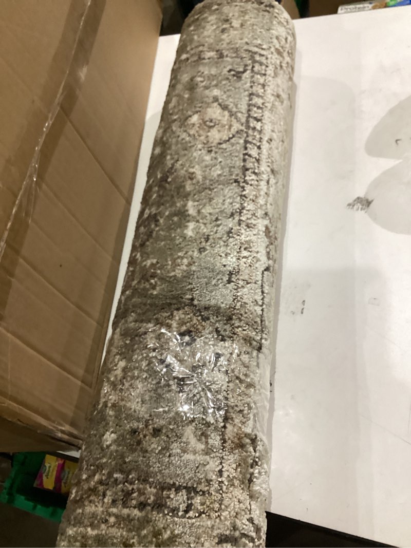 Condition photo showing Good Condition for Loloi Haywood Collection HYD-04 Sage/Earth 2'-7" x 8'-0" Runner Rug Sage / Earth 2'7" x 8' (Rectangular)