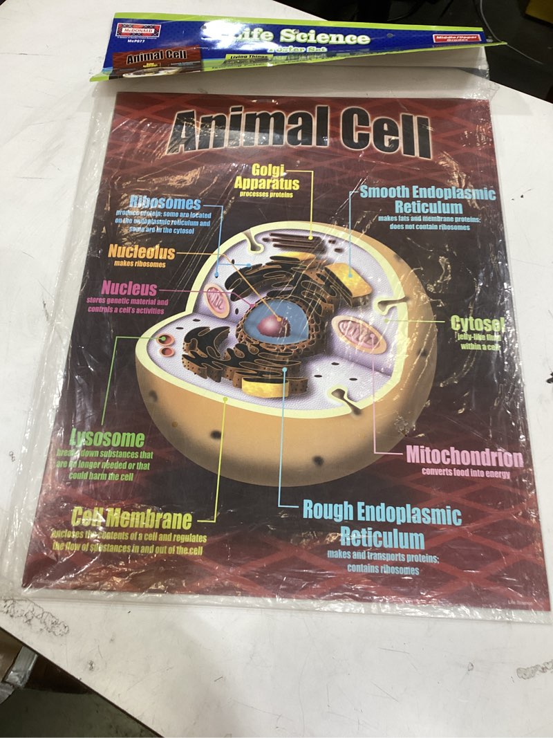 mcdonald publishing life science poster set (p077)