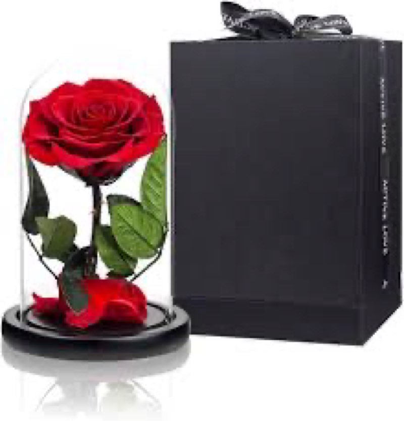 LALALANHOME Red Roses Handmade Preserved Real Rose in Glass Dome, Long Lasting Roses Never Withered 