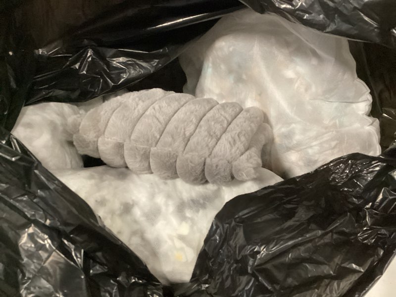 Condition photo showing As Is for Cute Cat Couch Bed for Indoor Cats, Fluffy Pet Cat Sofa with Premium Soft Corduroy Fleece, Cute Small Dog Beds for Small Dogs, Fuzzy Puppy Chair with Removable Washable Cover (30x20x10,Grey) Medium Grey