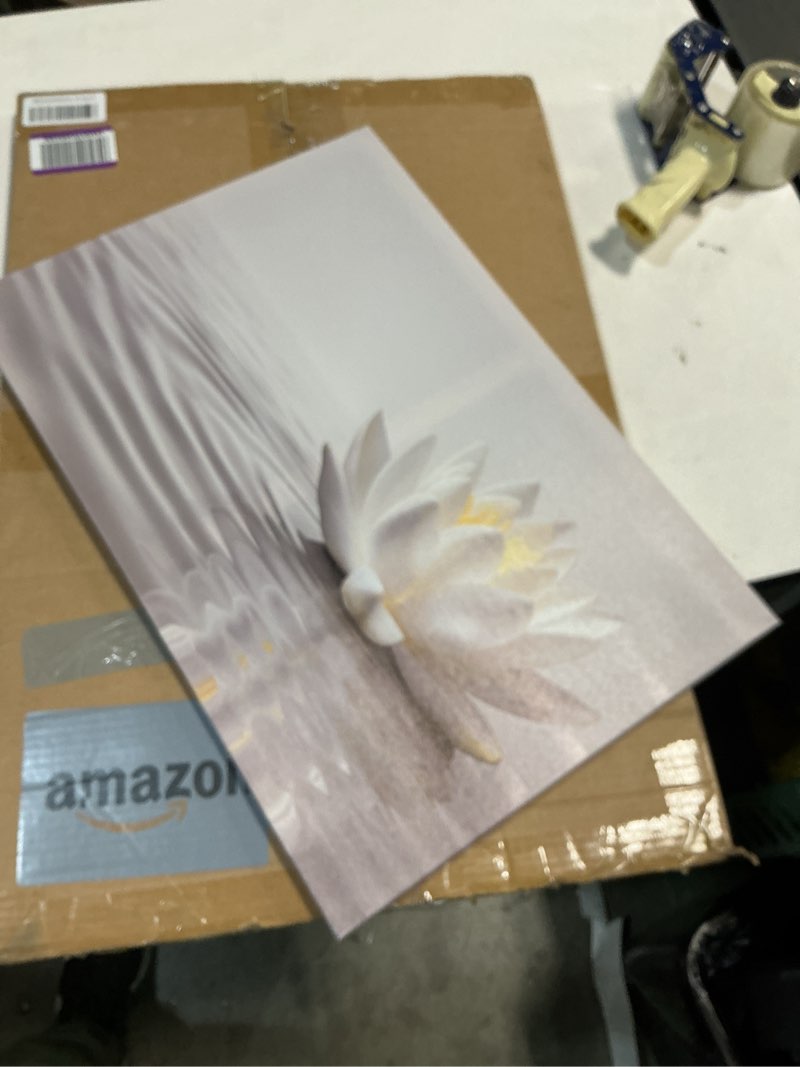 Condition photo showing Good Condition for PLIDAAYO Lotus Zen Wall Art Charming White Lotus Canvas Print Lotus Flower Bloom in Water Poster Painting Zen Yoga Spa Picture for Bathroom Living Room Meditation Room Home Decor(Zen-03,16"x24") Zen-03 24"L x 16"W