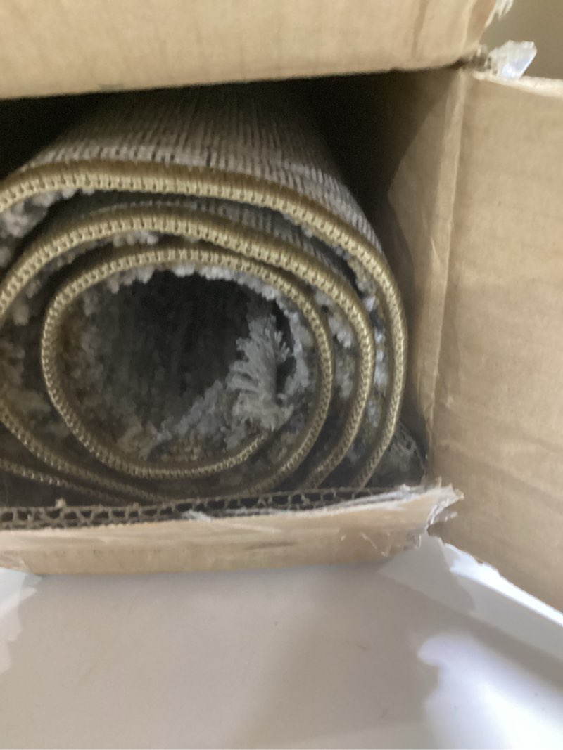 Condition photo showing As Is for Loloi Amber Lewis Alie Collection ALE-05 Gold/Beige 2'-3'' x 3'-10'', .13'' Pile Height, Accent Rug Gold / Beige 2' x 3' (Rectangular)