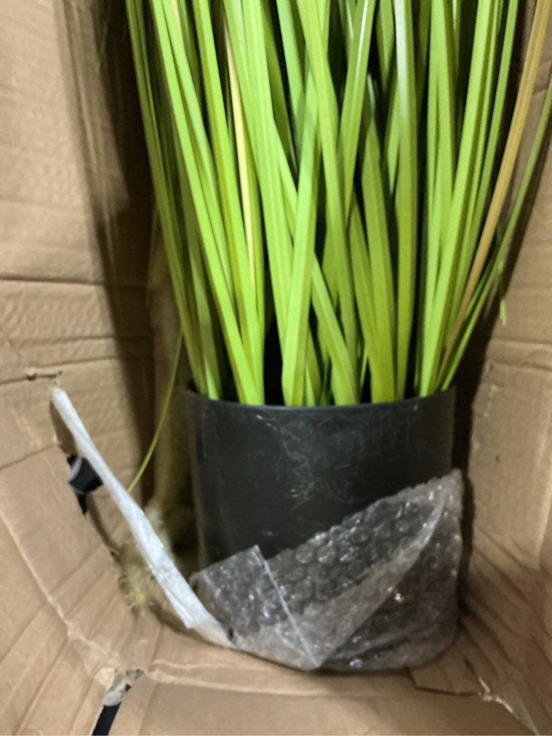 Condition photo showing Good Condition for kol artificial 5ft 2-pack horsetail reed grass, 59in tall artificial indoor outdoor fake grass plant, home office decorative artificial plants in pot faux plant greenery, wedding decor 2 5ft