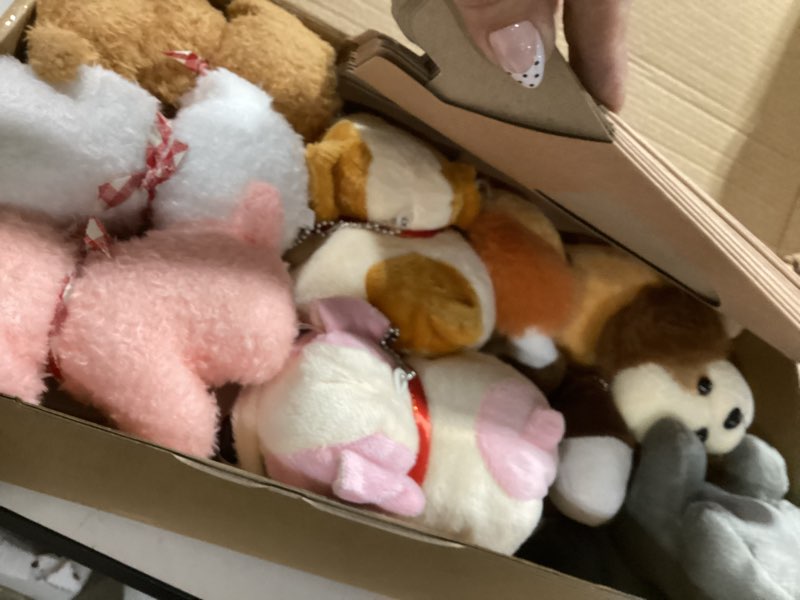 Condition photo showing As Is for 36pcs adopt a puppy party favors mini stuffed animals plush toy set includes 10pcs mini plush dogs, birthday hats, kraft paper boxes, white plastic fence for adopt a dog party