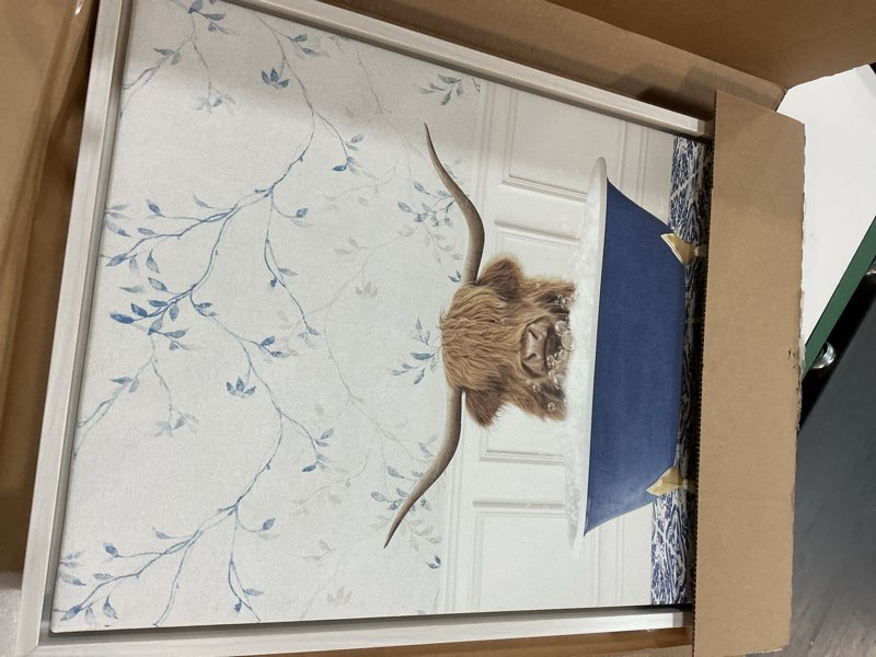 Condition photo showing Good Condition for Kate and Laurel Highland Cow in Eclectic Blue Bathtub Framed Canvas Wall Art by Amy Peterson 18 x 24 Sylvie White, Whimsical, Animals, Bathroom, Humor Art for Wall Decor, Living Room, Bedroom