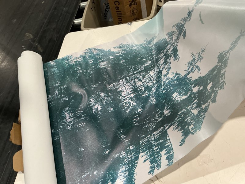 Condition photo showing As Is for misty forest mural wallpaper coniferous forest wallpaper large trees and mountains wall mural for bedroom living room home decor