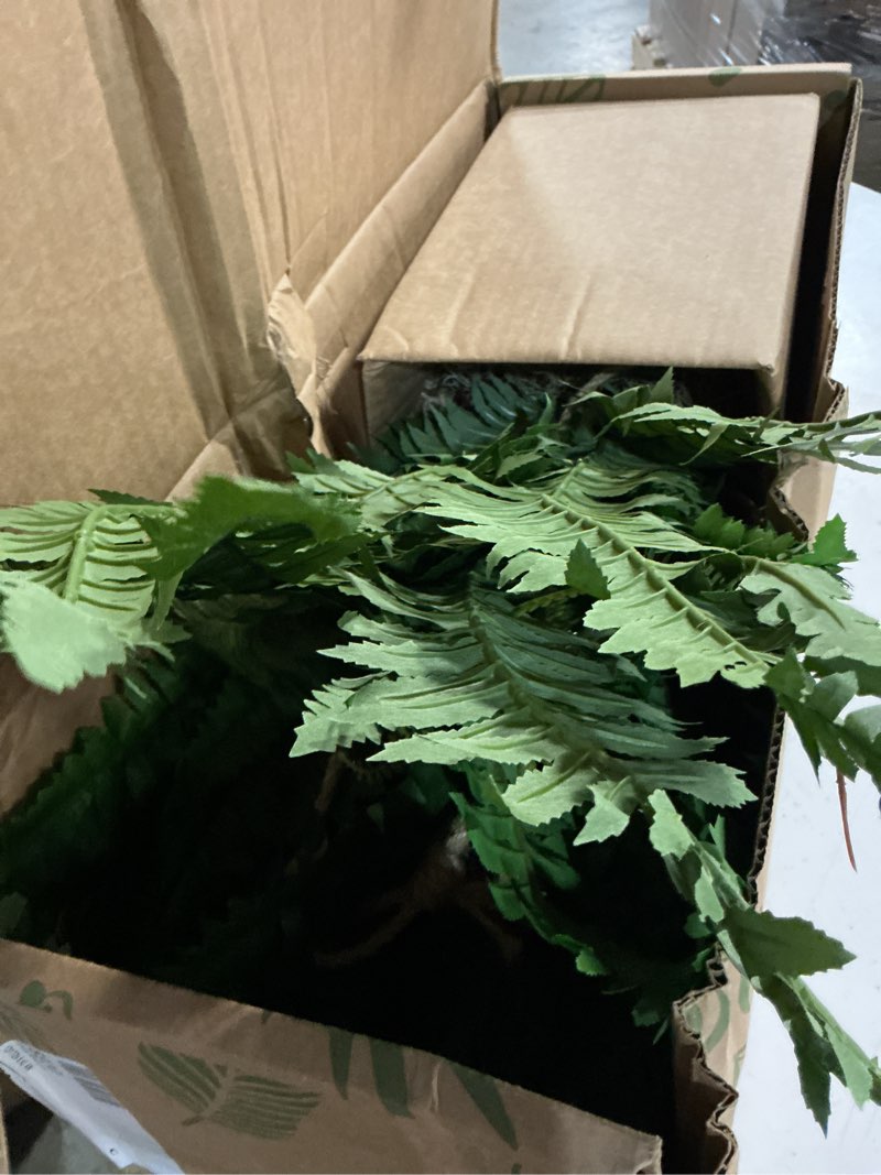 Condition photo showing Good Condition for nearly natural boston fern hanging basket green 29"