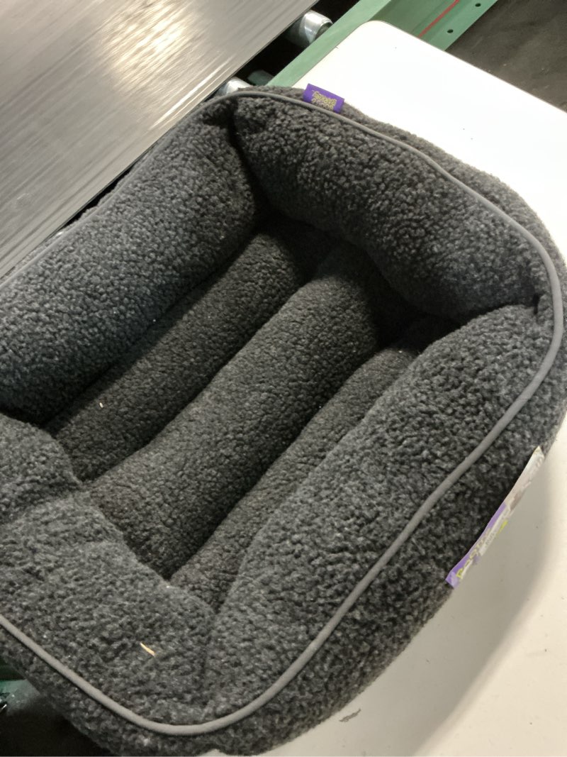 Condition photo showing Good Condition for modern cuddler dog bed - s - boots & barkley™