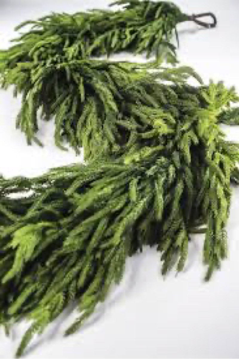  (4 pcs)Natural touch thick norfolk garland 72” x 16” - our thickest yet (similar)