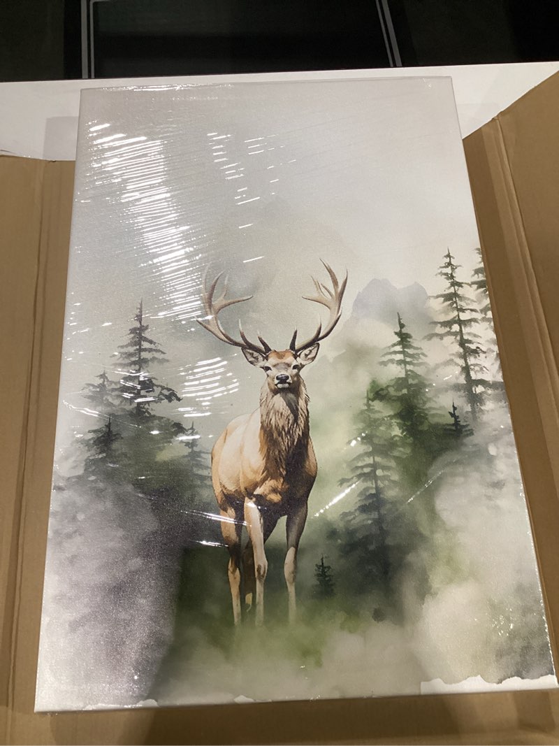 Condition photo showing Good Condition for 3Pcs Framed Woodland Nursery Canvas Wall Art Animals Wall Decor Forest Prints Posters Deer Bear Fox Watercolor Pictures Paintings for Boys Room Girls Room 16x24in Fox Deer Bear Canvas 24"L x 16"W