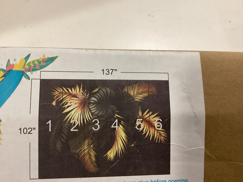 Cliouar-Turtle Backed Bamboo Plantain Leaf Plant Wall Mural Wallpaper Peel and Stick 137" x 102"