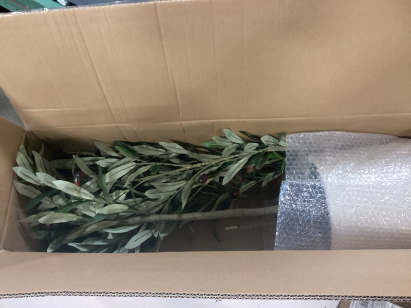 Condition photo showing As Is for lomanto artificial olive trees, 5 ft tall fake olive trees for indoor, faux olive silk tree, large olive plants with white planter for home decor and housewarming gift, 1 pack 5ft