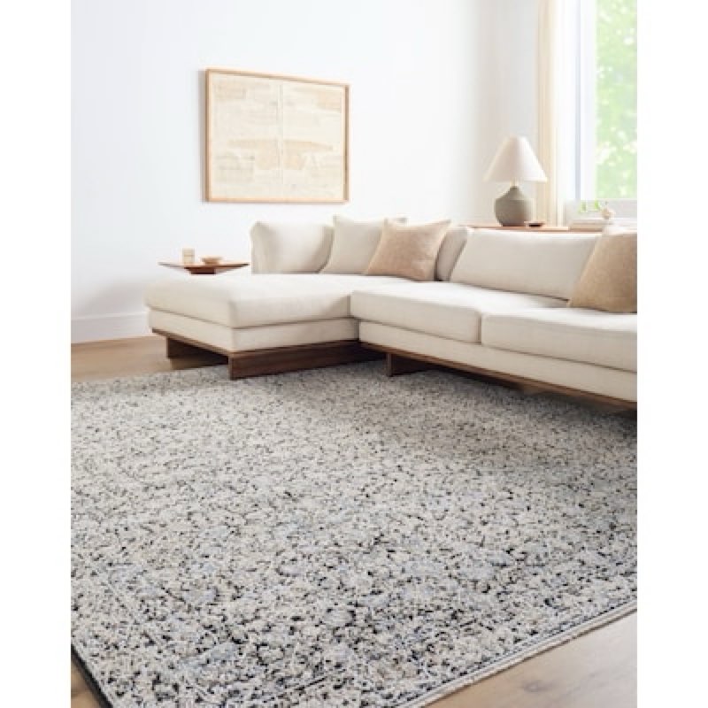 
allen + roth speckled obsidian loomed polyester black rectangular indoor medallion persian spot clean only pet friendly area rug
item #5976129 |
model #670029