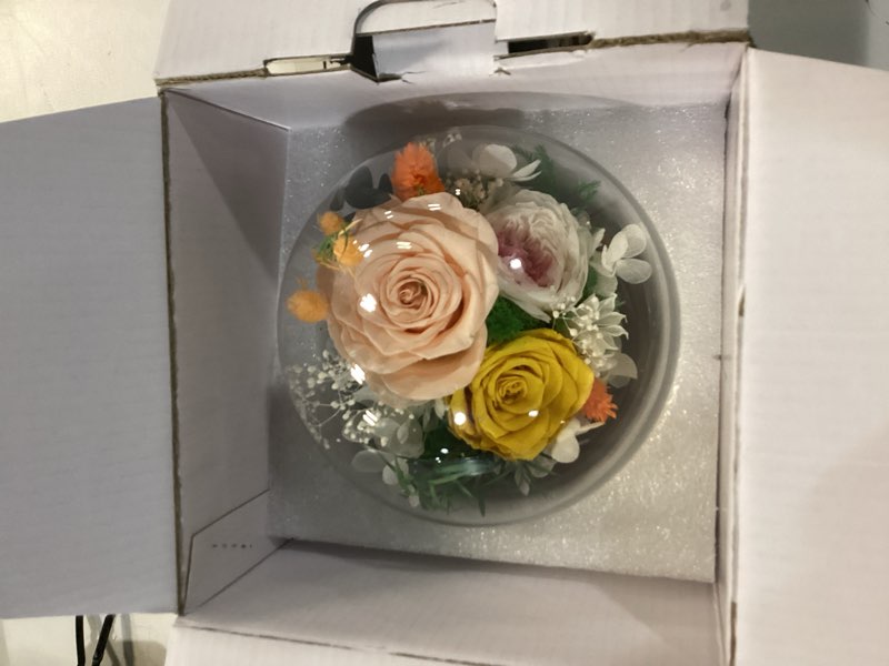 Condition photo showing Good Condition for FIACO Valentines Gifts for Her Preserved Flowers in Glass Dome Long-Lasting Eternal Roses Birthday Gifts for Women Mom Grandma Wife Girlfriend Forever Flowers for Delivery Prime Champagne