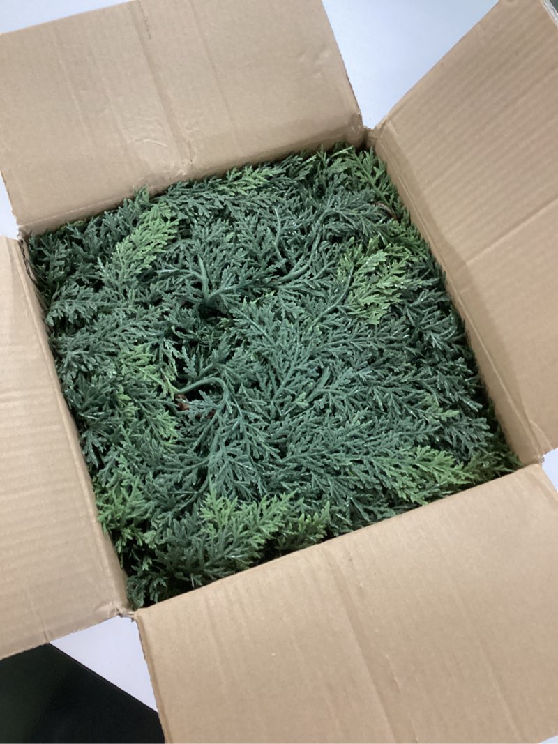 Condition photo showing New/Like New for 9FT Faux Cedar Garland Realistic,Real Touch Christmas Cedar Garland, Bendable Branches for Mantel Decor, Fireplace, Staircase, Table Centerpiece,Indoor/Outdoor Holiday Winter Decor (9FT)