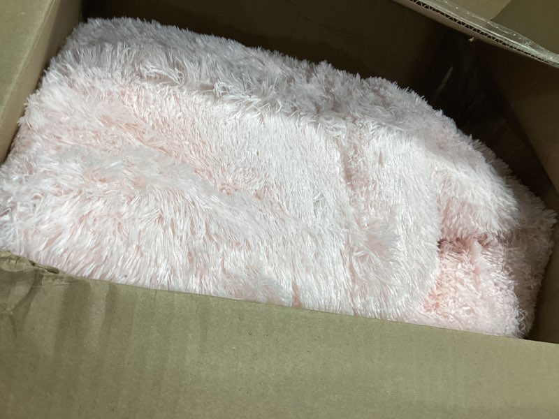 Ophanie 6x9 Pale Pink Rug