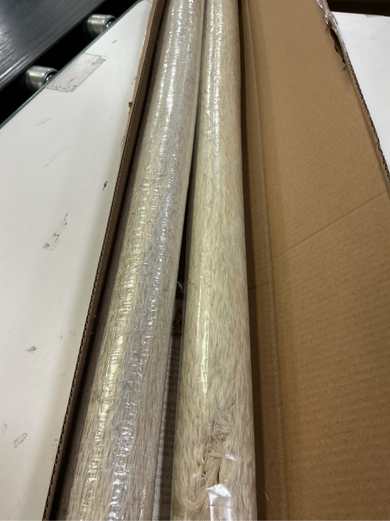 Condition photo showing Good Condition for Tall Pampas Grass 20PCS Boho Decor Natural Home Decor Phragmites Dried Flowers Bouquet for Wedding Floral Arrangements Home Decorations (20PCS Tall Pampas Grass)