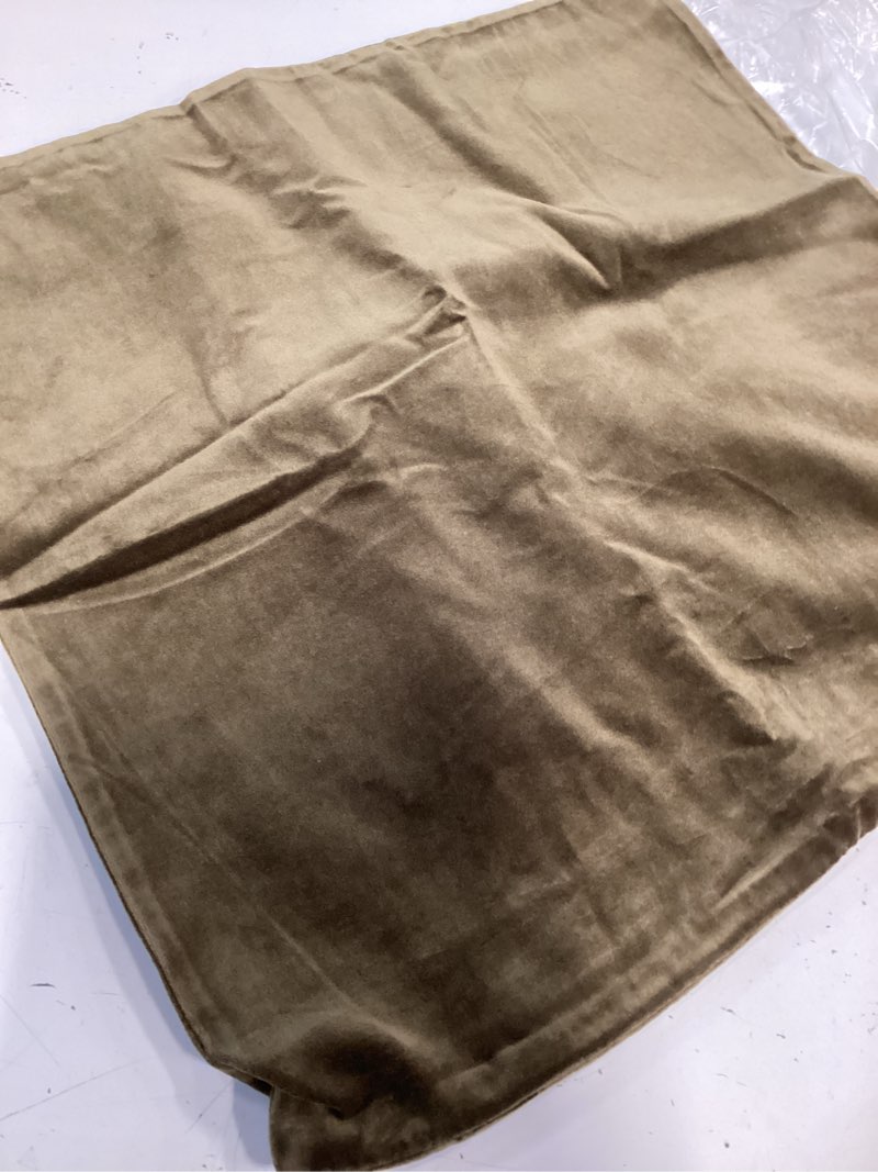 Condition photo showing Good Condition for velour pillow cover green 20x20