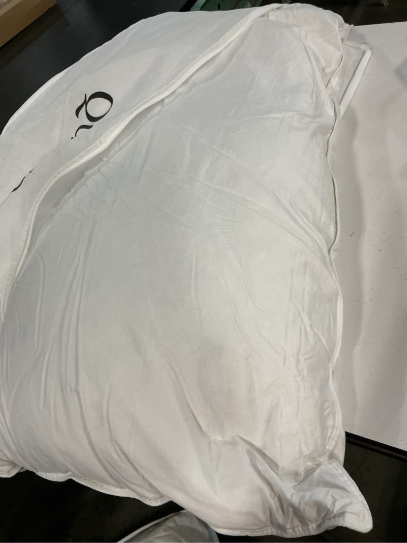 Condition photo showing As Is for quince luxe goose down pillow king soft/medium